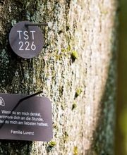 Die Ruhestätten im FriedWald sind mit kleinen Namenstafeln versehen.