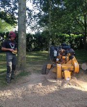 Arboteam SARL image 2