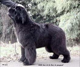 Sandrine Le Rest image 9