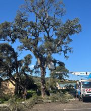 CORSE ELAGAGE image 8