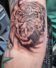 Tattoo Time Stade Bild 5