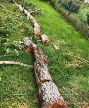 Espaces Verts Occitan image 5