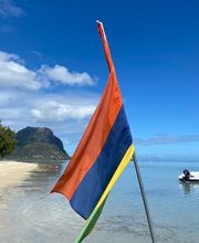 Wild Dodo Sàrl Bild 1