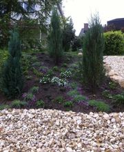 Team Schaad AG Bild 14