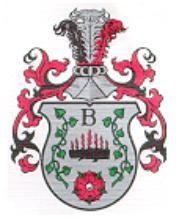 Brandes Immobilien e.K Inh. Robin Brandes logo