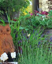 La Pépinière d'Ilca image 4