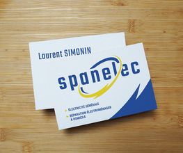 Spanelec image 4