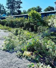 Zbinden Paysage Bild 4