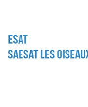 ESAT Les Oiseaux image 4