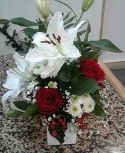 SOPHIE FLORE image 2