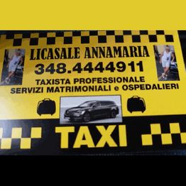 Taxi Licasale logo