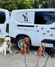 Wind im Hundefell Bild 5