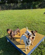 Scotland's Mist Acres image 5