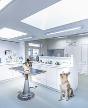 Tierklinik Rhenus AG Bild 4