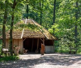 FriedWald Fürstenwalde Bild 12