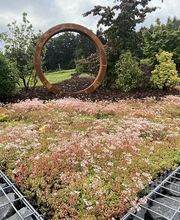 Sequoia Paysage image 2