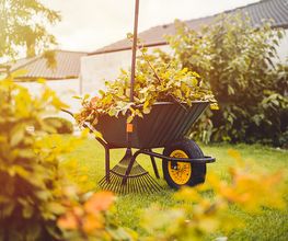 Bm Gartenservice Bild 6