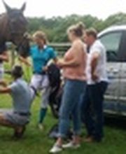 IP-Horsepower Immo Peltzer Bild 1