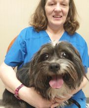 Wayne Heights Animal Hospital image 20