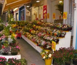 COTE FLEURS image 5