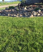 Star Hydroseeding image 1