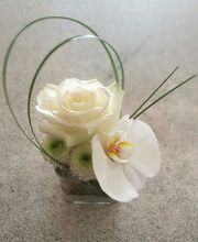 La Rose Rouge image 8