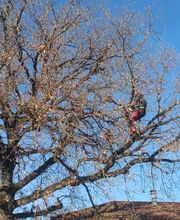 En Vie...d'Arbres image 12