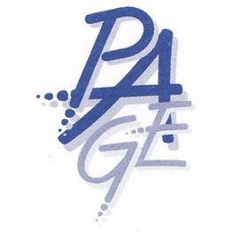 P.A.G.E. Impianti Elettrici logo