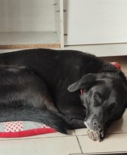 Le Monde de Sultan image 3