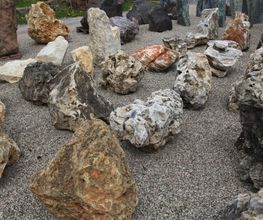 Palatinum Landschafts und Gartendesign GdbR Bild 4