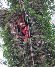 Deppner Andreas Bild 1