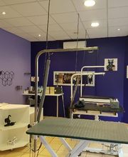 Espace canin image 9