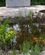 Dirk Schoebel Garten- und Landschaftsbau Bild 7