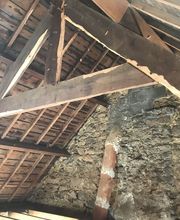 Agence Antiparasitaire Du Bois Pontivy image 3