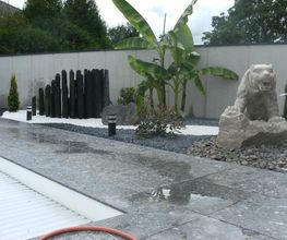 AEV Jardin image 3
