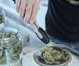 GreenBerry Store image 9