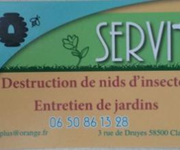 Servi +Lis Jerome image 3