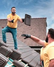 Feron Louis image 18