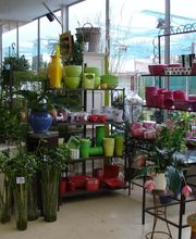 Central fleurs image 6