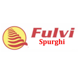 Fulvi Spurghi S.r.l logo
