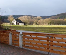 Stark im Garten Bild 37