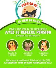 Pension de la Terre du Milieu image 3