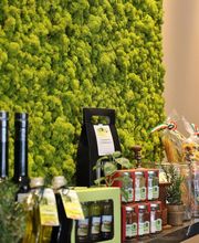 Franzen Moos Wanddesign Bild 10