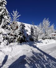 Hôtel Le Saint-Jean image 10