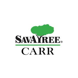 SavATree