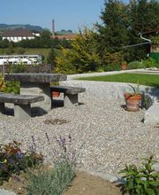 Hadorn Gartenbau Bild 7