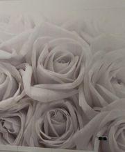 Malermanufaktur Benjamin Beller Bild 3