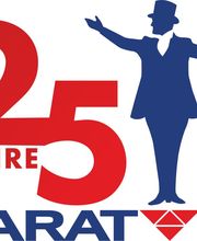 CARAT Systementwicklungs- und Marketing GmbH & Co. KG Bild 1