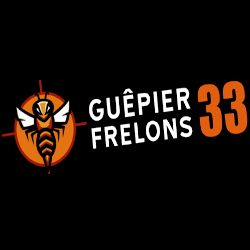 Guepier Frelons 33