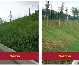 DLS Lehmann GmbH - Winterdienst Bild 6